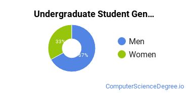 Undergraduate Student Gender Diversity at  Fred W Eberle Technical Center