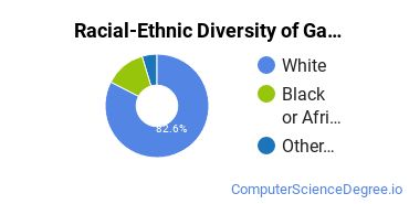 Racial-Ethnic Diversity of Garnet Career Center Undergraduate Students