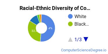 Racial-Ethnic Diversity of Computer Science Majors at Georgia Military College