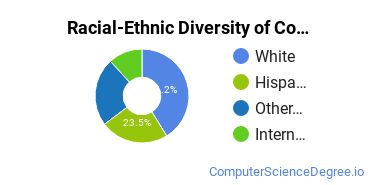 Racial-Ethnic Diversity of Computer Science Majors at Grand Canyon University