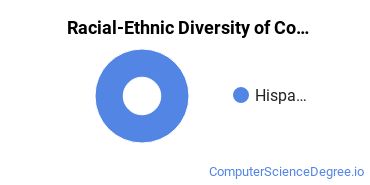 Racial-Ethnic Diversity of Computer Support Specialist Majors at IBMC College