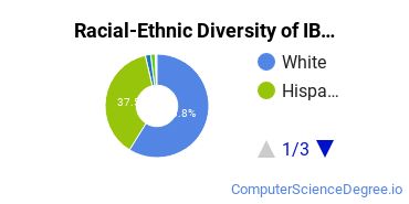 Racial-Ethnic Diversity of IBMC Undergraduate Students