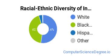 Racial-Ethnic Diversity of Institute of Medical Careers Undergraduate Students