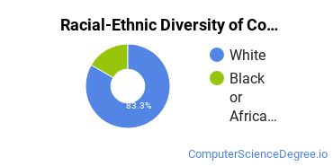Racial-Ethnic Diversity of Computer Science Majors at University of Jamestown