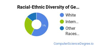 Racial-Ethnic Diversity of General Computer & Information Sciences Majors at Juniata College