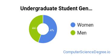 Undergraduate Student Gender Diversity at  Kennebec Valley Community College
