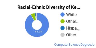 Racial-Ethnic Diversity of Kennebec Valley Community College Undergraduate Students