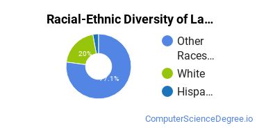 Racial-Ethnic Diversity of Lac Courte Oreilles Ojibwa Community College Undergraduate Students
