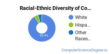 Racial-Ethnic Diversity of Computer Programming Majors at Lane Community College