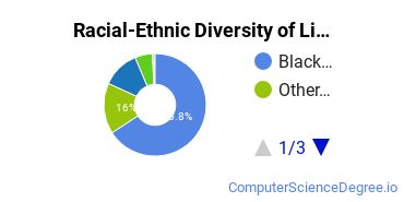 Racial-Ethnic Diversity of Lincoln Tech - Marietta Undergraduate Students