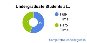  Full-Time vs. Part-Time Undergraduate Students at  Mayville State University