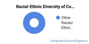 Racial-Ethnic Diversity of Computer Software & Applications Majors at Mercer University