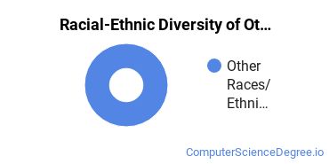 Racial-Ethnic Diversity of Other Computer Software & Media Applications Majors at Mercer University