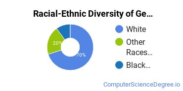 Racial-Ethnic Diversity of General Computer & Information Sciences Majors at Mercyhurst University North East Campus