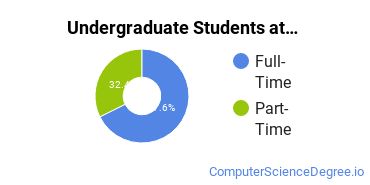  Full-Time vs. Part-Time Undergraduate Students at  Mercyhurst North East