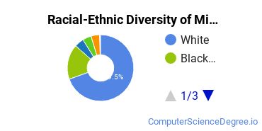 Racial-Ethnic Diversity of Millsaps Undergraduate Students