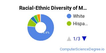 Racial-Ethnic Diversity of Mount Marty Undergraduate Students