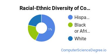 Racial-Ethnic Diversity of Computer Systems Networking and Telecommunications Majors at Mountain View College