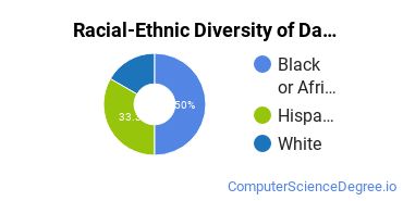 Racial-Ethnic Diversity of Data Processing Technology Majors at Mountain View College