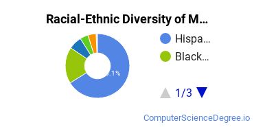 Racial-Ethnic Diversity of Mountain View College Undergraduate Students