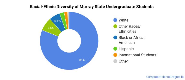 Murray State University Computer Science Majors - Computer ...