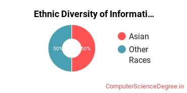 Ethnic Diversity of Information Technology Majors at National American University - Ellsworth AFB Extension