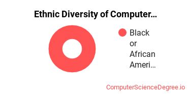Ethnic Diversity of Computer & IS Security Majors at National American University - Ellsworth AFB Extension