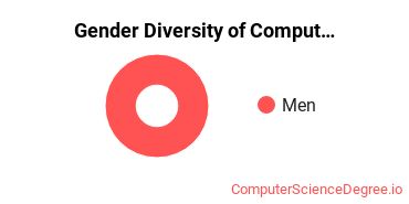 National American University - Ellsworth AFB Extension Gender Breakdown of Computer & IS Security Bachelor's Degree Grads