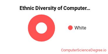 Ethnic Diversity of Computer & IS Security Majors at National American University - Ellsworth AFB Extension