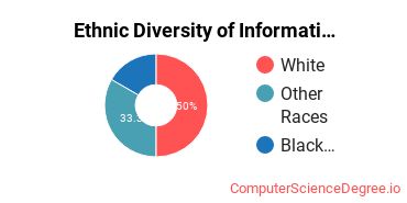 Ethnic Diversity of Information Technology Majors at National American University - Rapid City