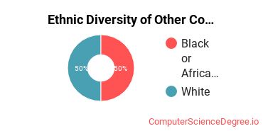 Ethnic Diversity of Other Computer Software & Media Applications Majors at National American University - Rapid City
