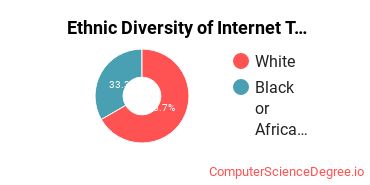 Ethnic Diversity of Internet Technology Majors at National American University - Rapid City