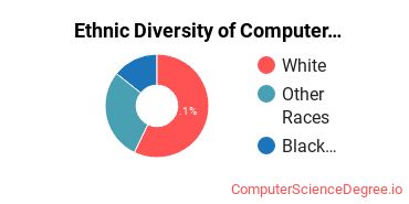 Ethnic Diversity of Computer Support Specialist Majors at National American University - Rapid City