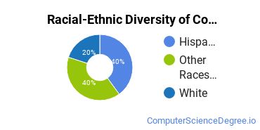 Racial-Ethnic Diversity of Computer Programming Majors at North Lake College