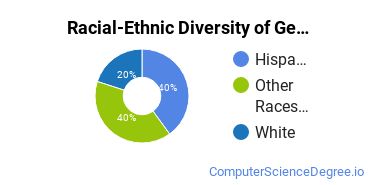 Racial-Ethnic Diversity of General Computer Programming Majors at North Lake College
