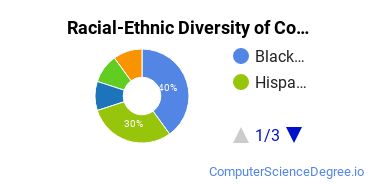 Racial-Ethnic Diversity of Computer Systems Networking Majors at North Lake College