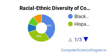Racial-Ethnic Diversity of Computer Systems Networking and Telecommunications Majors at North Lake College