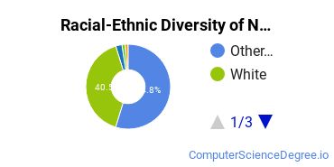 Racial-Ethnic Diversity of Northeast Technology Center-Afton Undergraduate Students