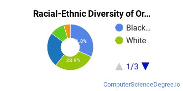 Racial-Ethnic Diversity of Orange Technical College-Westside Campus Undergraduate Students