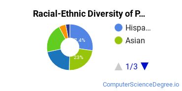 Racial-Ethnic Diversity of PUC Undergraduate Students