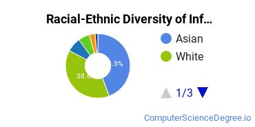 Racial-Ethnic Diversity of Information Science Majors at Pennsylvania State University - Abington