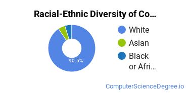 Racial-Ethnic Diversity of Computer & IS Security Majors at Pennsylvania State University - Altoona