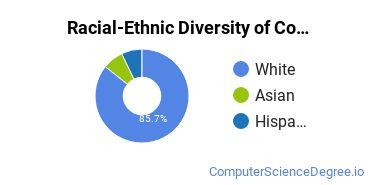 Racial-Ethnic Diversity of Computer & IS Security Majors at Pennsylvania State University - Berks