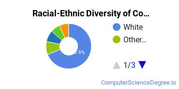 Racial-Ethnic Diversity of Computer Information Systems Majors at Pennsylvania State University - World Campus