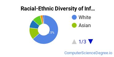 Racial-Ethnic Diversity of Information Technology Majors at Pennsylvania State University - World Campus