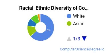 Racial-Ethnic Diversity of Computer & IS Security Majors at Pennsylvania State University - World Campus