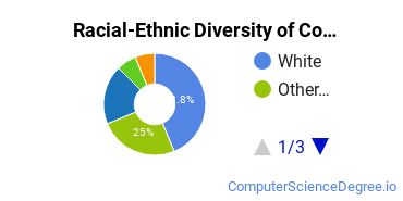 Racial-Ethnic Diversity of Computer Systems Networking Majors at Pierce College-Puyallup