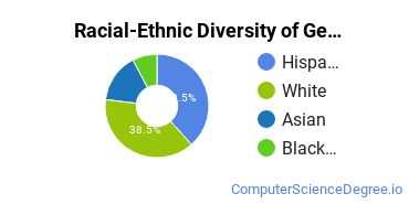 Racial-Ethnic Diversity of General Computer Programming Majors at Richland College