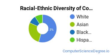 Racial-Ethnic Diversity of Computer Science Majors at Richland College
