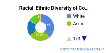 Racial-Ethnic Diversity of Computer Systems Networking and Telecommunications Majors at Richland College